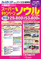 ブルースカイツアー様　ちらし